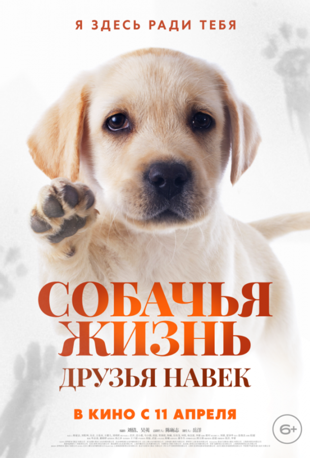 Собачья жизнь: Друзья навек (2024) онлайн бесплатно