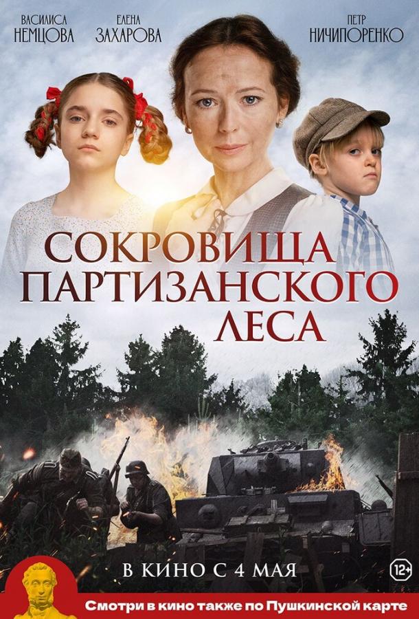 Сокровища партизанского леса (2022) онлайн бесплатно