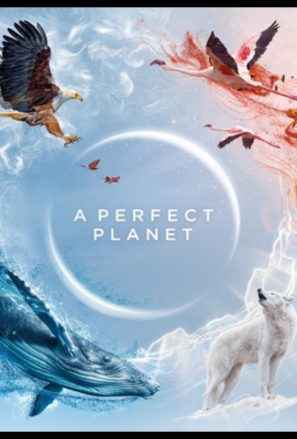 Идеальная планета (2021) онлайн бесплатно